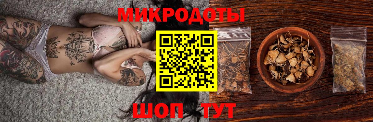 Галлюциногенные грибы Psilocybe Киселёвск