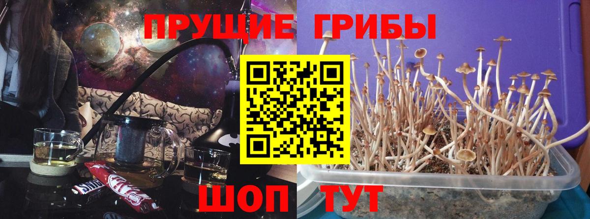 Галлюциногенные грибы мухоморы  Вход с VPN  Киселёвск 