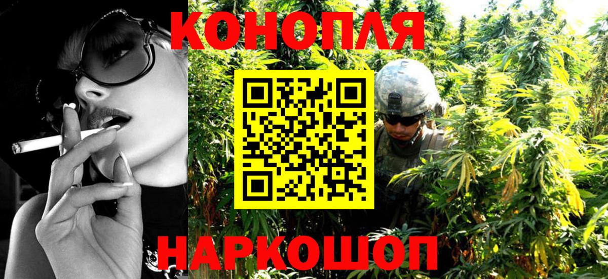 Конопля ГИДРОПОН Киселёвск